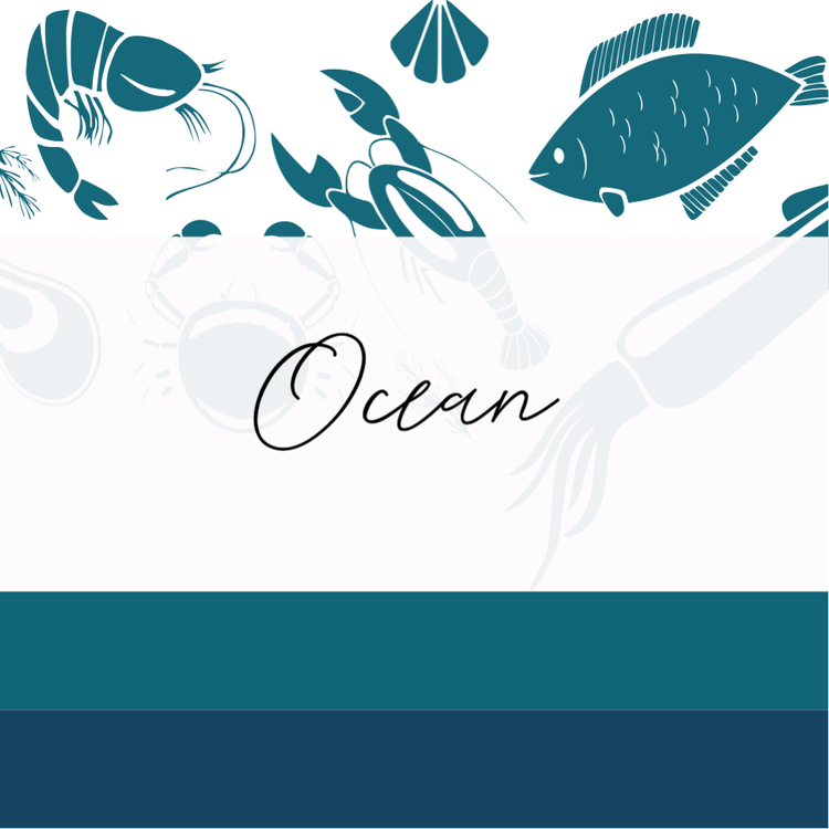 Ocean