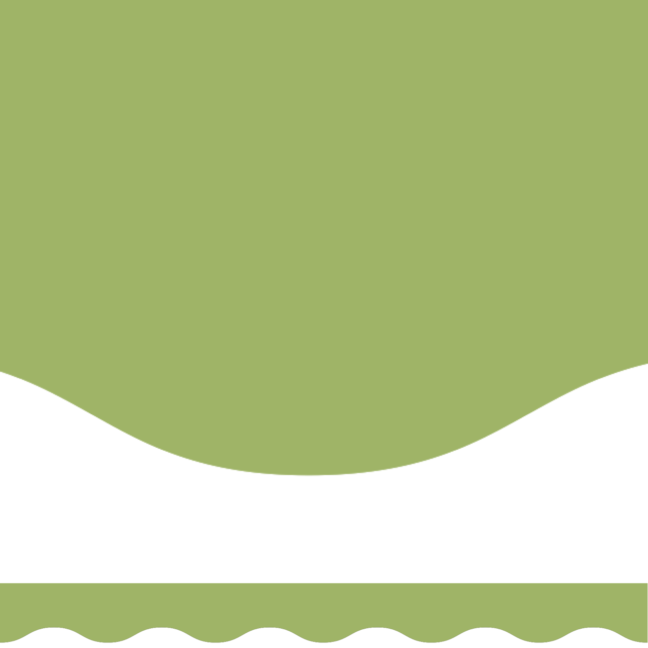 Plain olive green border wave cut (10m roll)