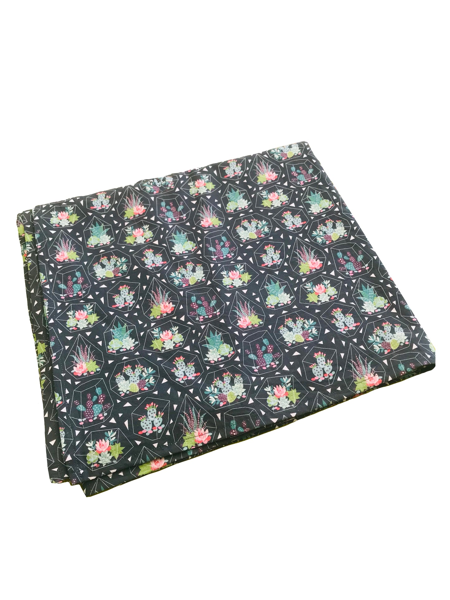 Classy Classrooms tablecloth succulent