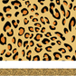 Leopard print colour border (10m roll)